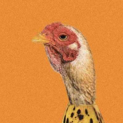 CHICKEN BANANA